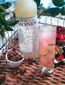 Monin Aniseed Recipes