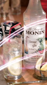 Monin Gin Recipes