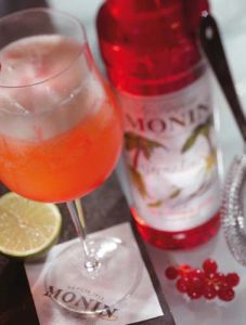 Monin Grenadine Recipes