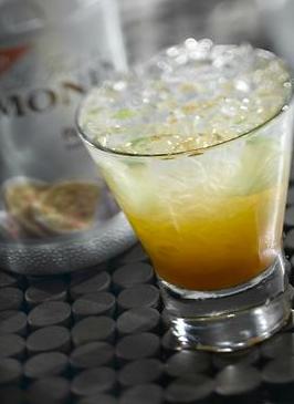 Monin Passion Fruit Puree Recipes